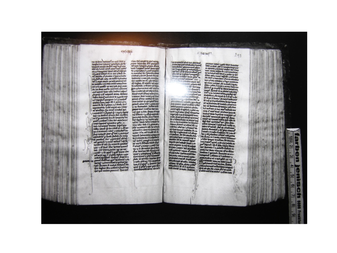 Dombibliothek HIldesheim, Bibelabschrift, Gotische Minuskel, 12 . Jahrhdt.